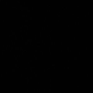 Meet your Posher, Ivan